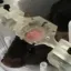 Coin image for AN945y4KNKKe97jM8QGKmpkU9upo7jc6WqqCCjsNw93z