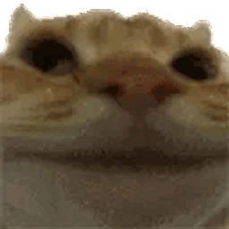 Coin image for ANgobytExieKjJdXR5DFhZPk5LeEeRUkQocMCVVrsAkN
