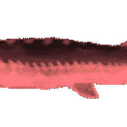 Coin image for APB8ueuFmg2KWXTzfzjqECg2dVHz1hsjPEF9t5ACpump