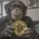 Coin image for APE3JPZ7SzRMsXMaZtjZqEX6CfpZ2ZRDxjYQhu4Wwif5