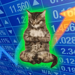 Coin image for APM1vdoa3HFZxwRmtxoSrvJr5sRbnZzndDM5wtAopump