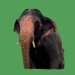 Coin image for APrCpcPz4pBbzbTWrezVsbBwSicxApFSGFKwPeQ5pump