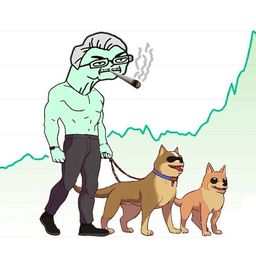 Coin image for APyoXL4YECH3Y2ZNEncD5RyVUw9QtsQq2mowMLGXMVoa