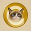 Coin image for AQSK8tFHoGcx5EVCRVCsWeZc8imNyX5aSkqbwWAVpump