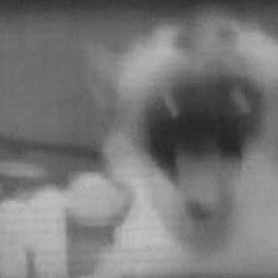 Coin image for AQppsRNnv8xAZb2Vy663o59MvdevruXS9ZjUWqerpump