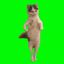 Coin image for ARmhDnRuXgk3VeuZmWSHCANeQp4XKfB1Zz7ocu2wpump