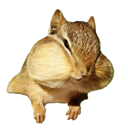 Coin image for ASGCARcwo8Y2LfzEo4UjMGdg2drERYgtaVMoqBETpump