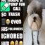 Coin image for ASo3fJFAHkP8THZWRXQihXCtmh3Wv51ZdTmdQqYYpump