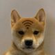 Coin image for ATTdsKvNcZ3VBK52nwHaNUJrpuPgnuGwh99tz3ASpump
