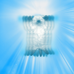 Coin image for AThp4tyU3K6feGfmiQnJRtpSNdLHocw43aShUmeFpump
