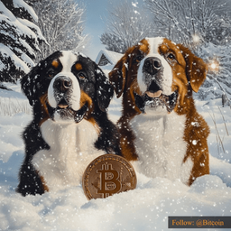 Coin image for AV2YtTXMUUVomEpLuwWxd7KHAD6B2imZhAGrt6mKpump