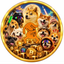 Coin image for AVVCBLpQZvdJkjiUKK3M5AD8zuGKgzTYvy1Y2owz1SaX