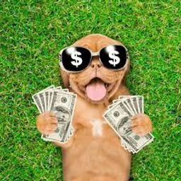 Coin image for AVgGtUmTrsLNUtDwCzY9UPanTaaSAgpoeB4ADGaBpump