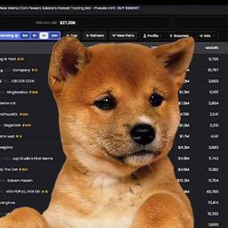 Coin image for AVnzKK7M9o7mjvx9JaeLFsLnH2Qs25R5uaMpRheRpump