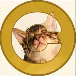 Coin image for AWJRSmYXStskqo7Rk9j5bFLZLhkUuR2g6Gv7g5Khpump