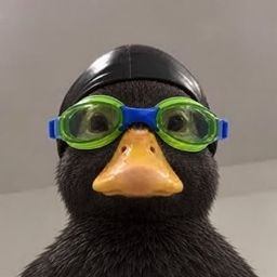Coin image for AWMHwGfCZ5XcgPKT12icfF3ixXEyvPe1TYqvSvB6pump