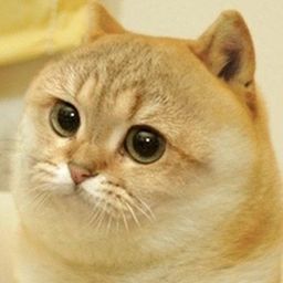 Coin image for AWaSPaWfS5rdFADQzGVKKW5qA4VhfudfPCmB4FKgpump