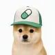 Coin image for AWfg3fqRNCWwbBTuXJkeNUEUwmsshJf5FkbKJsKypump