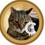 Coin image for AWhYm15w6qpJ7hjAKjY3C3jbd6TThAckNpUsX7iwpump