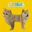 Coin image for AWywRbxZtrHLvAkNkqCpoEGg9R8qQh5x5hpyGJNspump