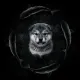 Coin image for AXchrHXhnqDfs2UwZbLVgZvojTqtU6NFpXFiNbAfpump