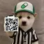 Coin image for AY3zJg5eW72bkjqnRBcXL3ZPvxuLZhCm6DjWdhjDpump