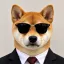 Coin image for AY8Xk5X1oNr7CkuCApjcQhhRJFN16nMpQtkyR5KAFj3x