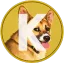 Coin image for AYwZvp8R4zjpR7mAvWXXMpTDhSe2w6t6G84ZkrUjpump