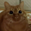 Coin image for AZighwwfWeHCZdTQNZPWvq3VRkMaYEdTmf6Y9tTZpump