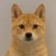 Coin image for AZk3uMaHxy4gqvCu8KYwRZYhyLmWPzfoEwU365fB5AnS