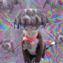 Coin image for AaBbQraPahrggQD4JmPyAwXeKc8trti9Y4Pqovp2pump