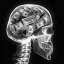 Coin image for Abqu2NQsCviewyo8RJHMtp93FUKWRKSkir1UHMpCuR81