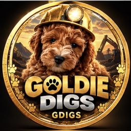 GDIGS