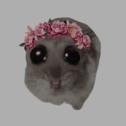 Coin image for AcTQXanB3t12BdpPFoCmSJUfFMP9ATZgASNsUSsYpump