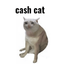 Coin image for AcbU9jcsNigGYz9uL2SuTecoiBGTm2mfv1z4qyt4pump