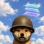 Coin image for Ae4ygpXNGetWvGMMP8BN57AWnBe8DJ7h5iAP6DMjpump