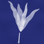 Coin image for AfdEXhEXondqbwJm3wsq7YMDw2ZqzNYYskWF4KHsWxRz