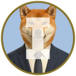 Coin image for AhGVDiGZccDhfJqefUEeEiGLybJvRkR1CsebPyFPpump