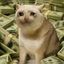 Coin image for AhNNNJUtHebz8rMC4eSsJYTdf5Sr8TQnY1Kc5ECWgdZ2