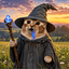 Coin image for AiamGmmRuvsqZ1J7ztutVe3gzSvvqbNhfmyd8MGWdhum