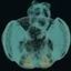 Coin image for AicjnMzqj7eyMhLeqBGYZd2svV1RkcugaQVfCcrxpump