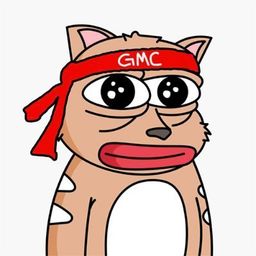 Coin image for Ajz4NfALjQJRsojyxoC1GcopXQ2d3kAv3WPWW9C9mL3f