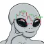 Coin image for AkjPRQYLLu8JRgmD6wDF23mkqKQdWSgfw1dJrMzmp8AL