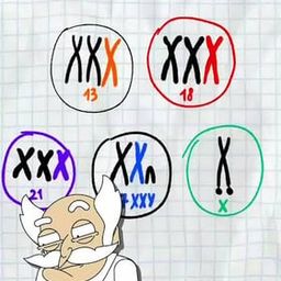 Coin image for AmD1vVMSZGk4ecGsERAsxpA2DCCKFYpVezkA6ecDpump