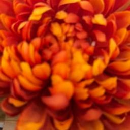 Coin image for An6de2yhedafdikcMFDdNpJP9e6dzdFVN2wNird6pump