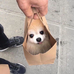 Coin image for An7dGbreezbPRbTeyoftiDNtWd5HjoD9Y5X7XiCzpump