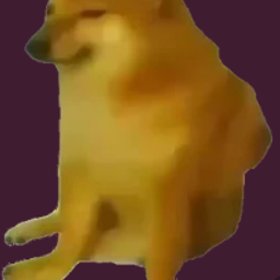 Coin image for AncUjVVrrTsJEJ5Hg3FuDCV9hkWbvpoQDPVZ4FURpump
