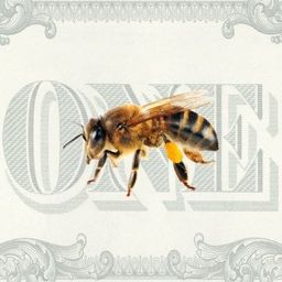 Coin image for Anr7yXZDm9kqsAWLSNmwodZakE2mPQfya6ipsrySpump
