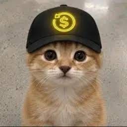 Coin image for AqMtmF2Ht9ihsVtsDDMMhZkhr3kg3WXUVA8eCyapump