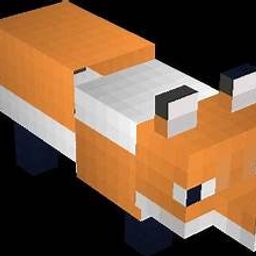 Coin image for AqPJat5nVEcqFkEJhcfCV4qmKo2P7ex3uiFVb5jipump
